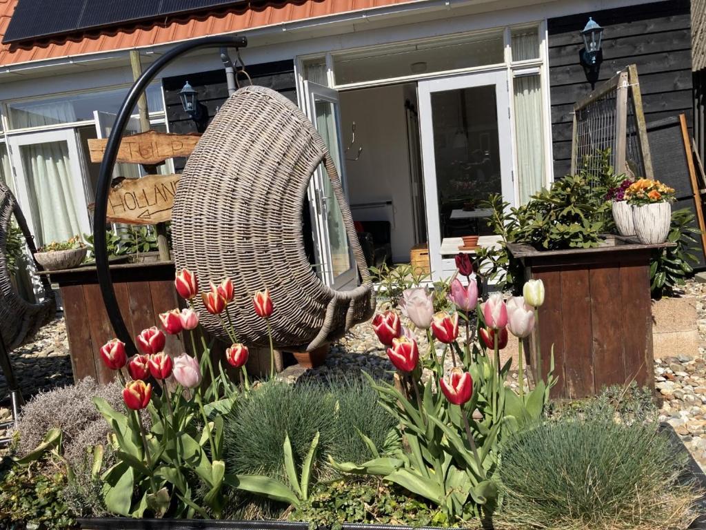 Tiny House Tulp room 1